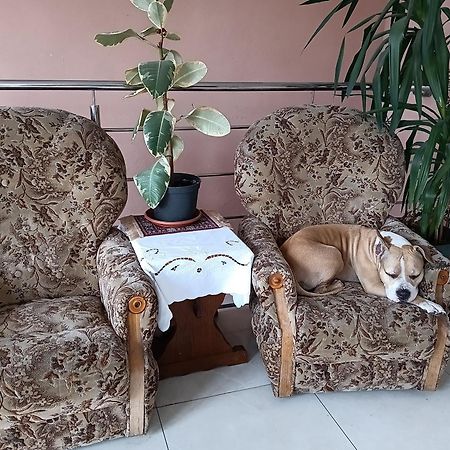 Noclegi Centrum Jelenia Góra Esterno foto