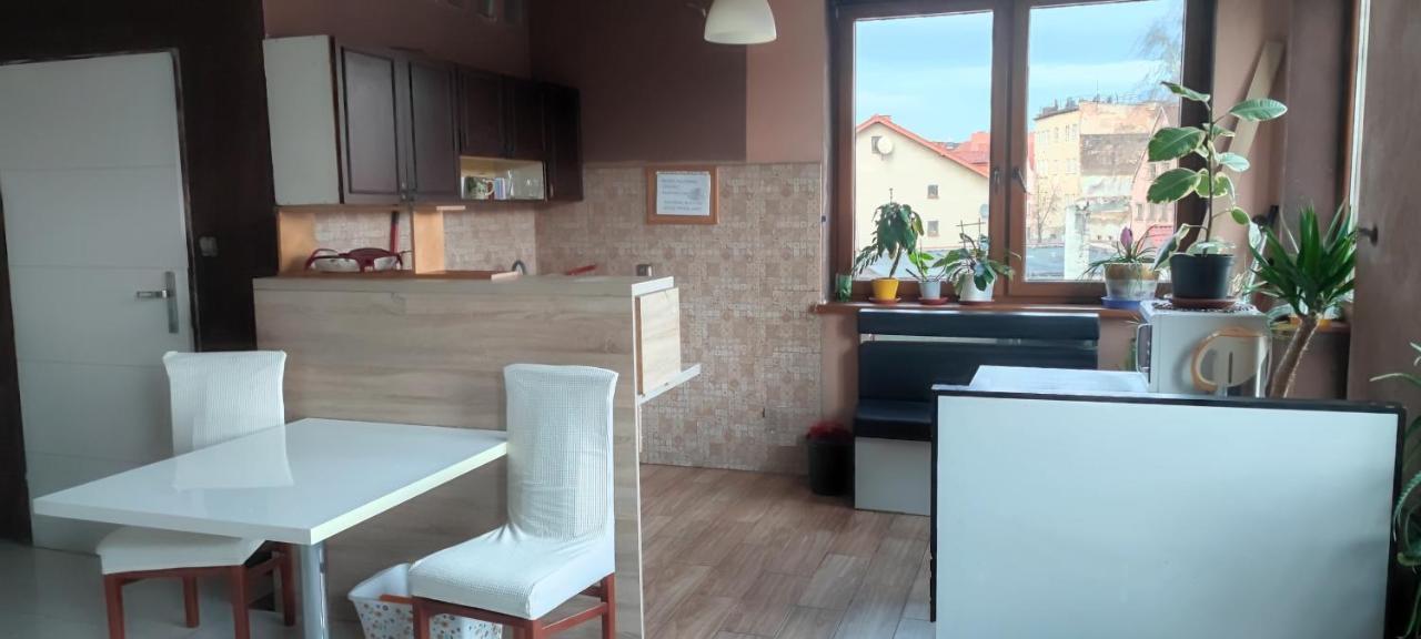 Noclegi Centrum Jelenia Góra Esterno foto
